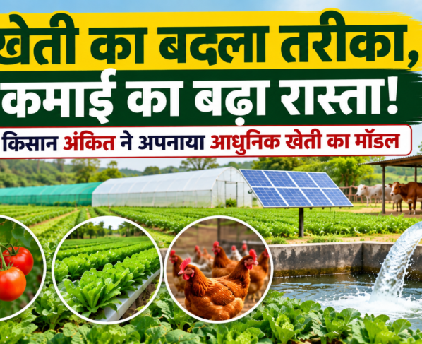 Ankit Farming Success Story in Chhattisgarh