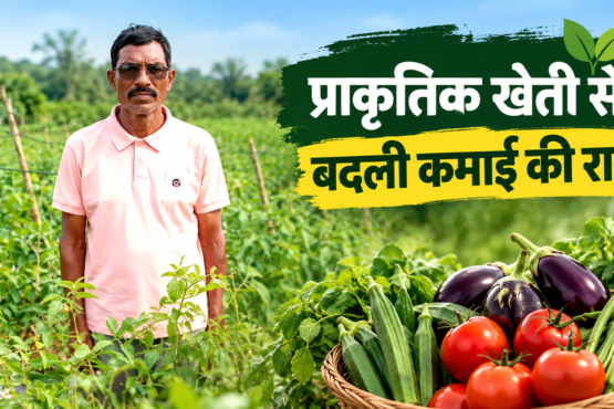 Sovind Uike Ki Prakritik Kheti Success Story