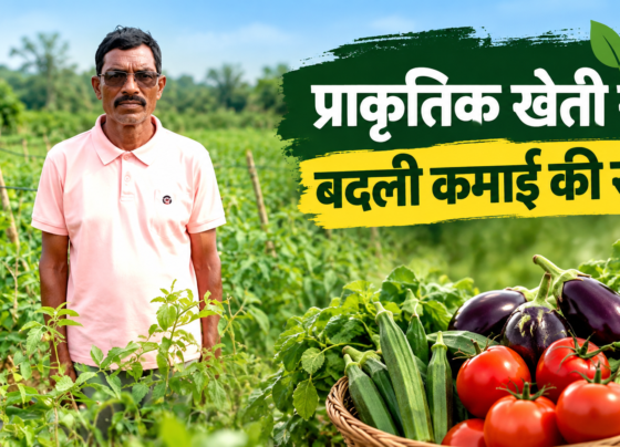 Sovind Uike Ki Prakritik Kheti Success Story