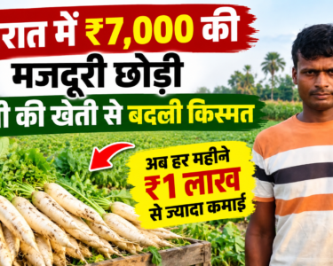 Tinku Kushwaha Farming Success Story