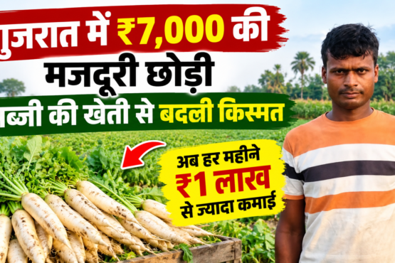 Tinku Kushwaha Farming Success Story