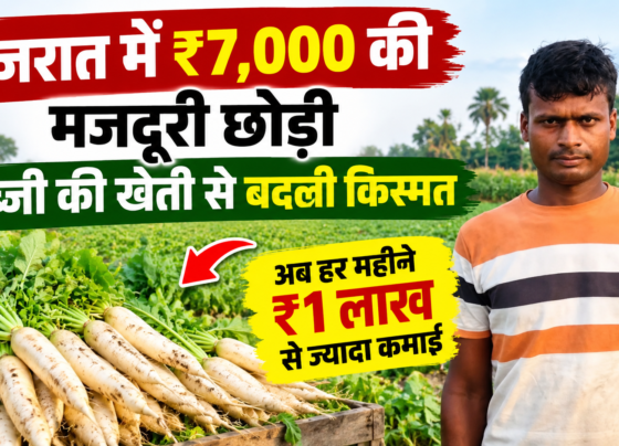 Tinku Kushwaha Farming Success Story