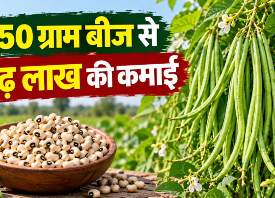 Madanlal Lobiya Farming Success Story