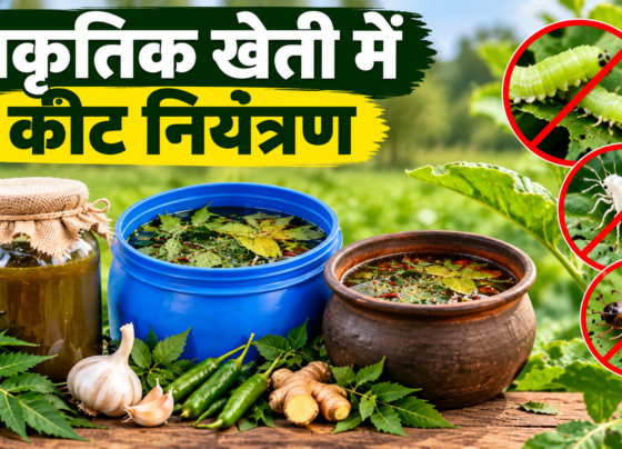 Prakritik Kheti Mein Keet Niyantran