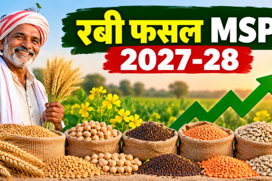 Rabi Fasal MSP 2027-28
