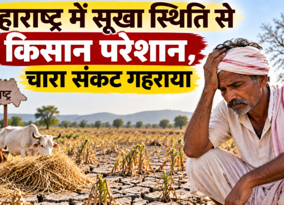 Maharashtra Mein Sukha Sthiti Se Kisan Pareshan
