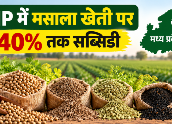 MP Me Masala Kheti Par Subsidy 2026