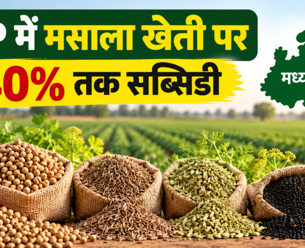 MP Me Masala Kheti Par Subsidy 2026