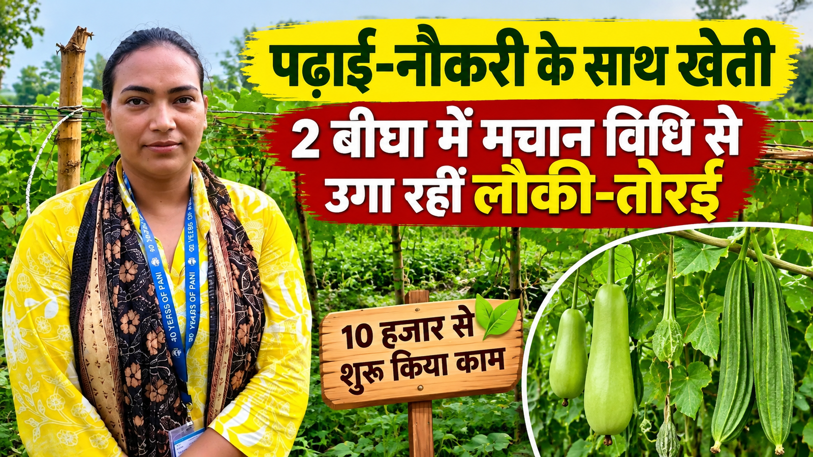 पढ़ाई-नौकरी के साथ खेती, 2 बीघा में मचान विधि से उगा रहीं लौकी-तोरई, 10 हजार से शुरू किया काम Priyanshi Pandey Farming Success Story in Gonda