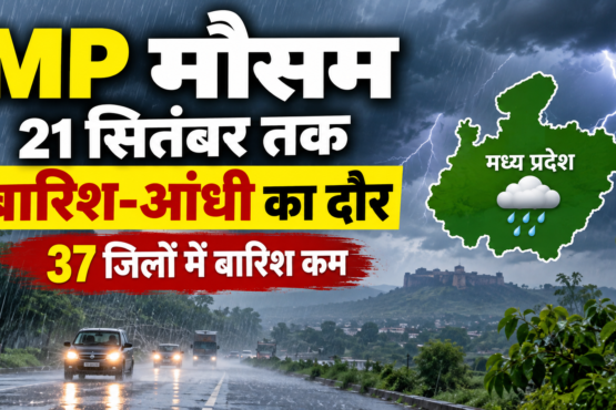 MP Weather Today