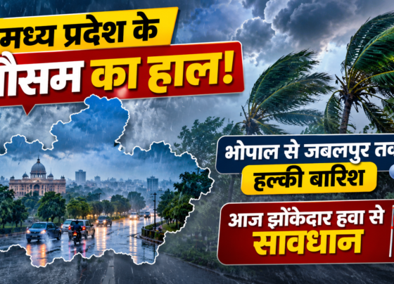 MP Weather Today