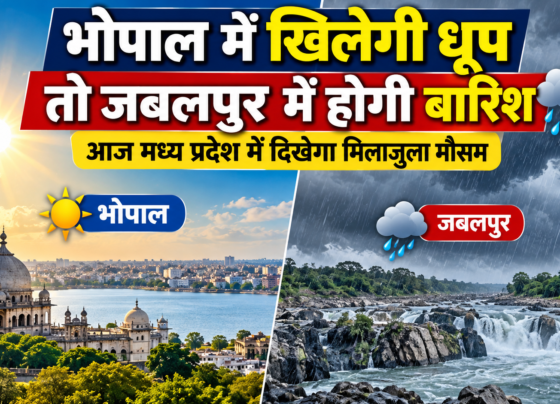 MP Weather Today