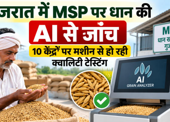 Gujarat Mein MSP Par Dhan Ki AI Se Janch