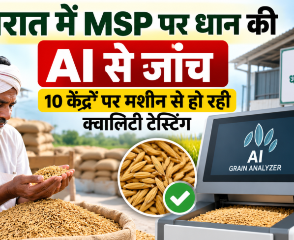 Gujarat Mein MSP Par Dhan Ki AI Se Janch