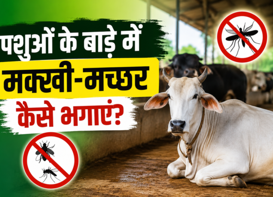 Pashuon Ke Bade Mein Makhi Machhar Kaise Bhagaye
