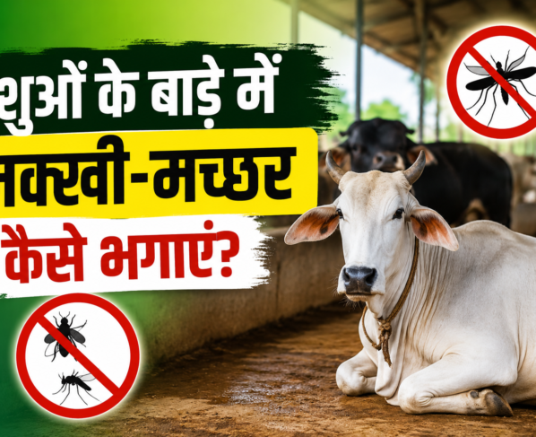 Pashuon Ke Bade Mein Makhi Machhar Kaise Bhagaye