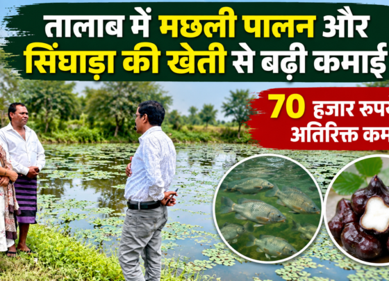 Halbu Barman Machhli Palan Aur Singada Ki Kheti Success Story