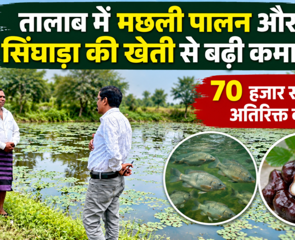 Halbu Barman Machhli Palan Aur Singada Ki Kheti Success Story