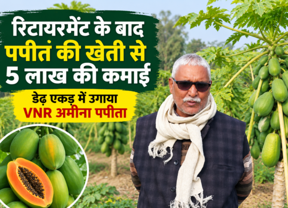 Ashebar Singh Papaya Farming Success Story in UP