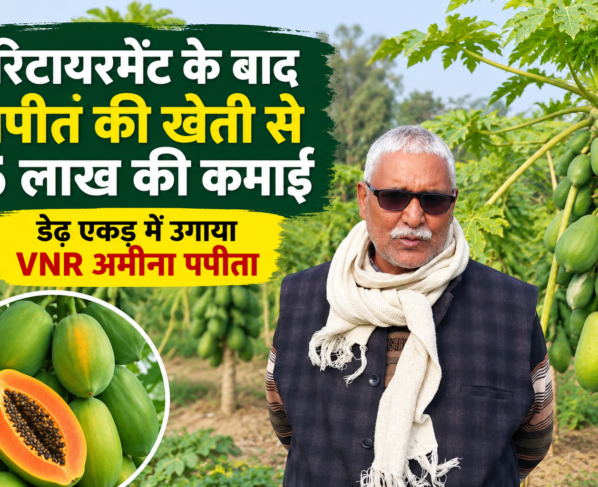 Ashebar Singh Papaya Farming Success Story in UP