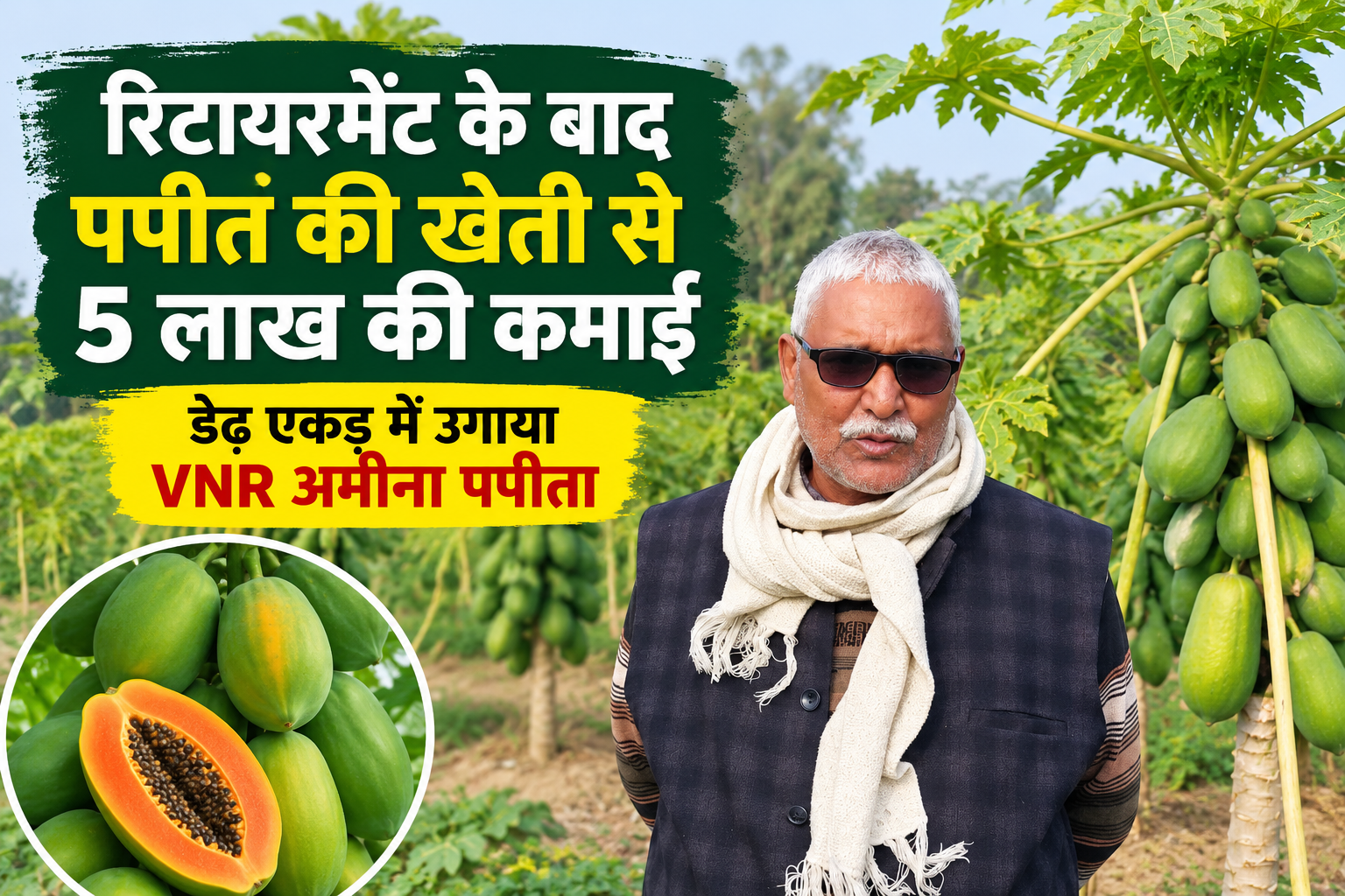 रिटायरमेंट के बाद पपीते की खेती से 5 लाख की कमाई, डेढ़ एकड़ में उगाया VNR अमीना पपीता Ashebar Singh Papaya Farming Success Story in UP