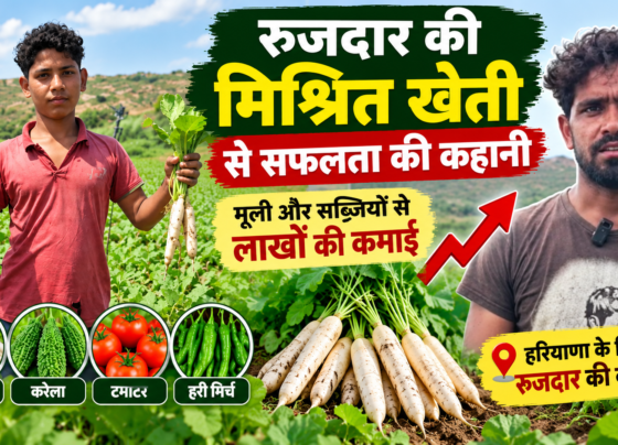 Rujdar Mix Farming Success Story