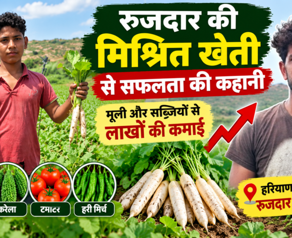 Rujdar Mix Farming Success Story