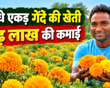 Purushottam Patel Gende Ki Kheti Success Story
