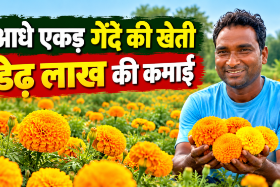Purushottam Patel Gende Ki Kheti Success Story