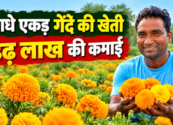 Purushottam Patel Gende Ki Kheti Success Story