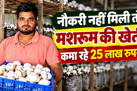 Premchand Patel Mushroom Farming Success Story