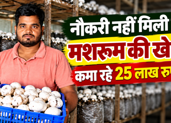 Premchand Patel Mushroom Farming Success Story