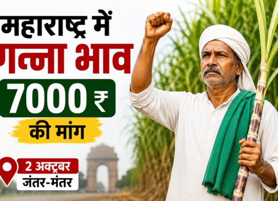 Maharashtra Mein Ganne Ka Bhav