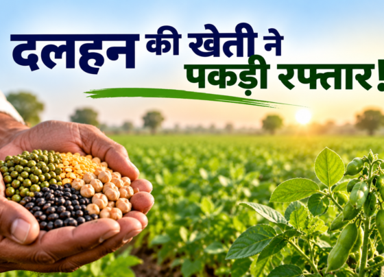 Kharif Dalhan Ki Buwai 2026