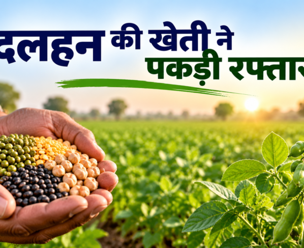 Kharif Dalhan Ki Buwai 2026