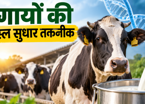 Gayon Ki Nasl Sudhar Taknik