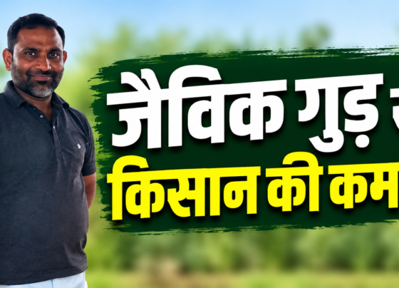 Abhendra Singh Chandel Organic Jaggery Success Story