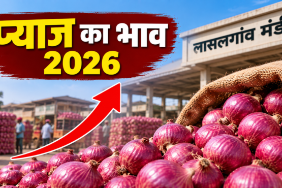 Pyaj Ka Bhav 2026