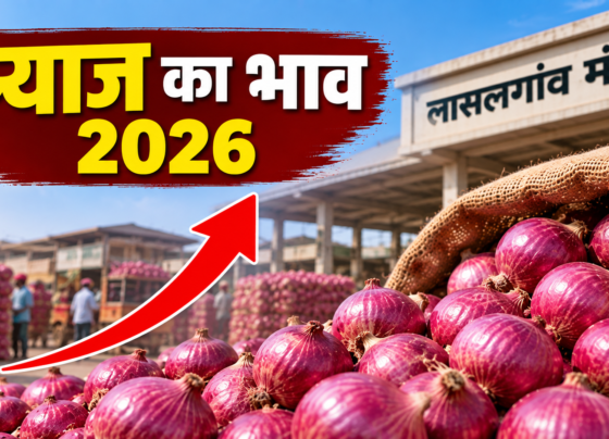 Pyaj Ka Bhav 2026