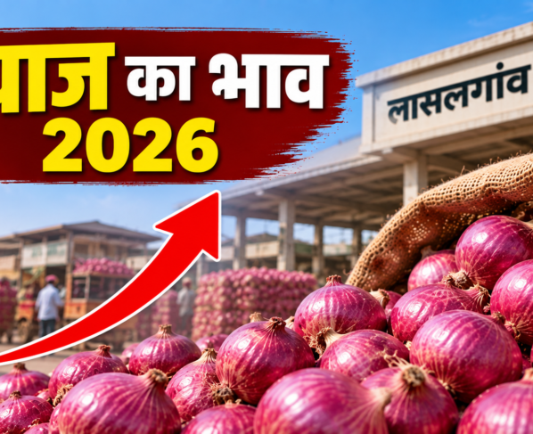 Pyaj Ka Bhav 2026