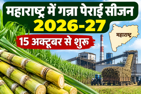 Maharashtra Me Ganna Perai Season 2026-27