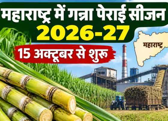 Maharashtra Me Ganna Perai Season 2026-27