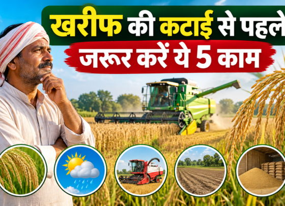 Kharif Fasalon Ki Katai Se Pehle Kya Karein?