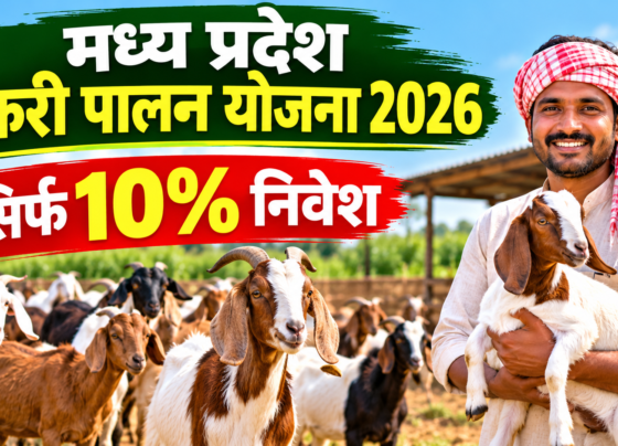 Madhya Pradesh Bakri Palan Yojana 2026
