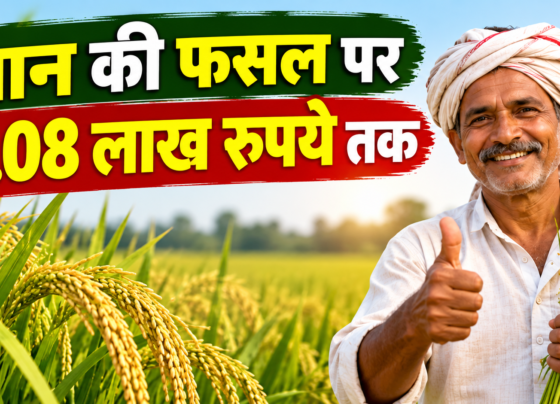 Dhaan Fasal Bima Yojana 2026