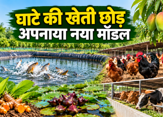 Surendra Jaitwar Farming Success Story