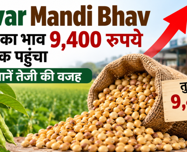 Tuvar Mandi Bhav