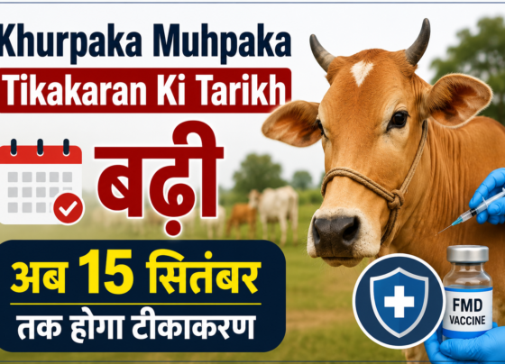 Khurpaka Muhpaka Tikakaran Ki Tarikh