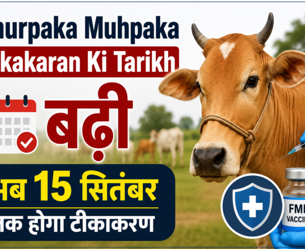 Khurpaka Muhpaka Tikakaran Ki Tarikh
