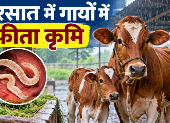 Barsaat Mein Gayon Mein Feeta Krim